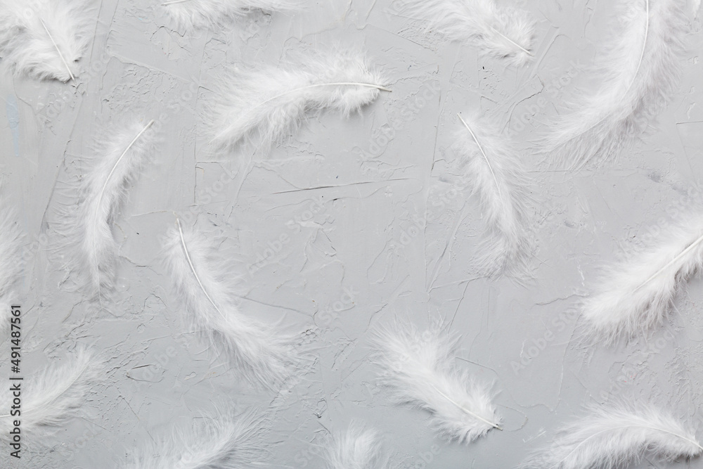 Frame of brightly colored dyed bird feathers on Colored background, top view Frame of brightly colored dyed bird feathers on Colored background, top view