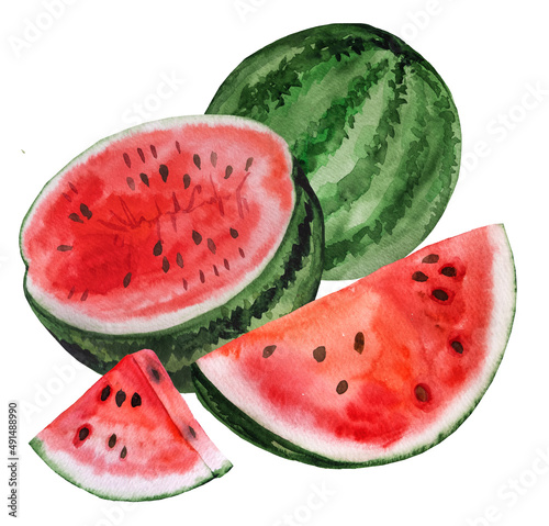 Red juicy watermelon pieces, half and whole fruit. Watercolor tropical illustration