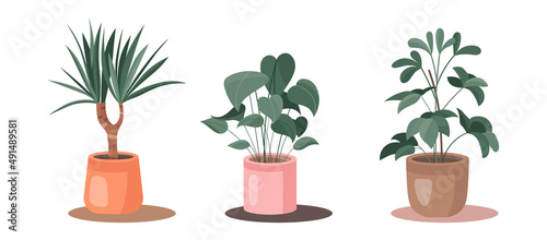 Pot plant set. Cute green houseplants in pots. Home flowers isolated on white background. Vector dieffenbachia, dracaena, schefflera illustrations.