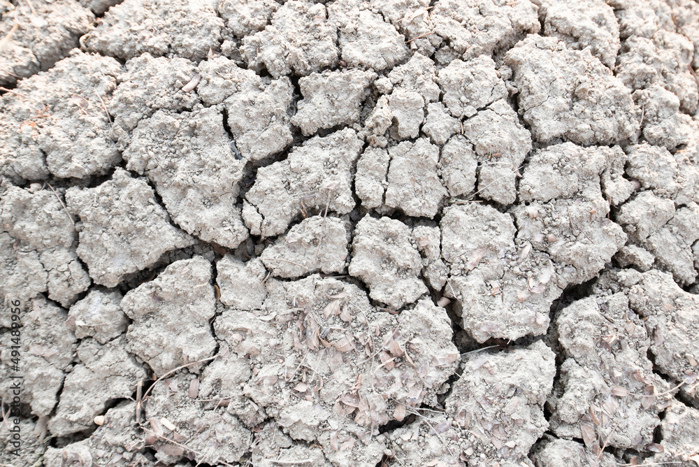 cracks in the dry ground cracks in the dry ground