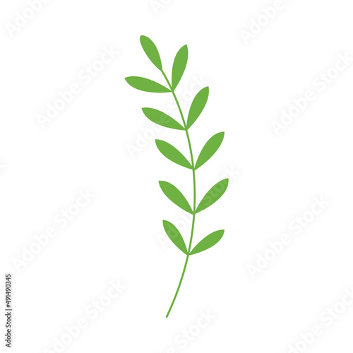 simple leaves, leaf graphic green color