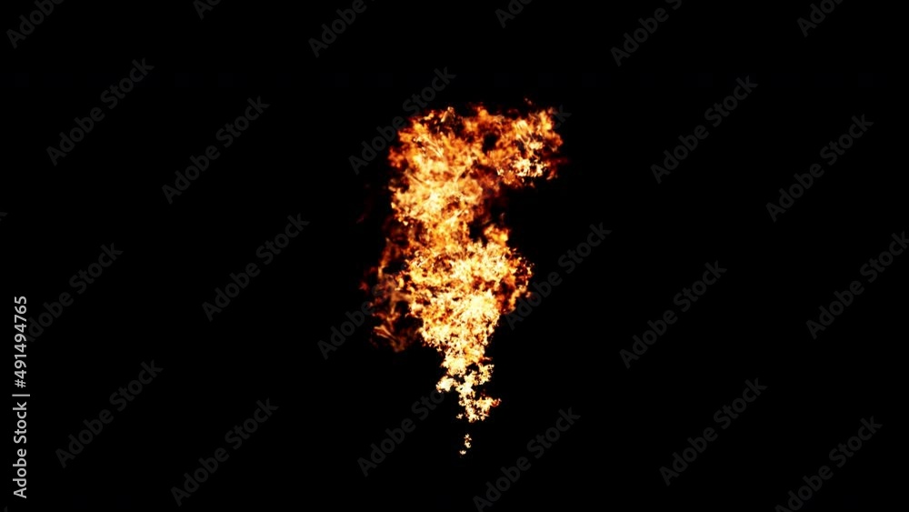 Flames burn in the colors of true fire Isolated by Alpha channel ( transparent background ) Use it to enhance any video presentation or animation movie or Cinematic clips or film project Flames burn in the colors of true fire Isolated by Alpha channel ( transparent background ) Use it to enhance any video presentation or animation movie or Cinematic clips or film project