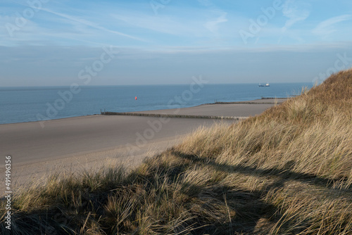 Fototapeta Naklejka Na Ścianę i Meble -  Dünenlandschaft bei Zoutelande an der niederländischen Küste