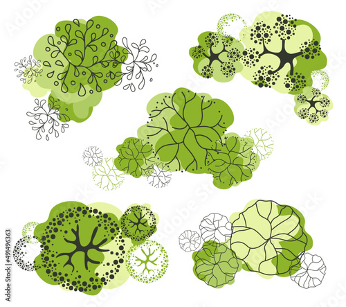 Trees for the master plan. Tree for architectural floor plans. Entourage design. Various trees, bushes, and shrubs, top view for the landscape design plan. Vector illustration.