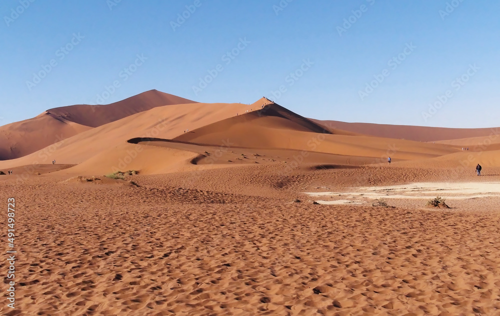 Scenic view of desert dunes in the Namib Desert, Namibia