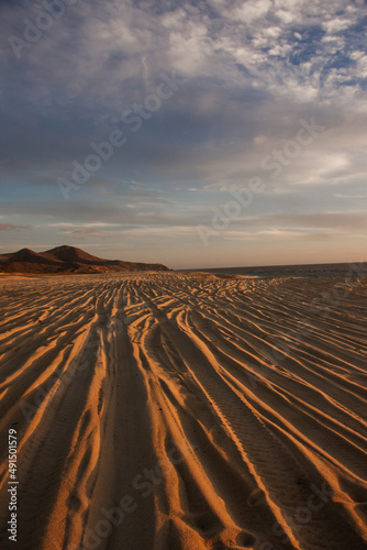 Empty desert landscape at sunset