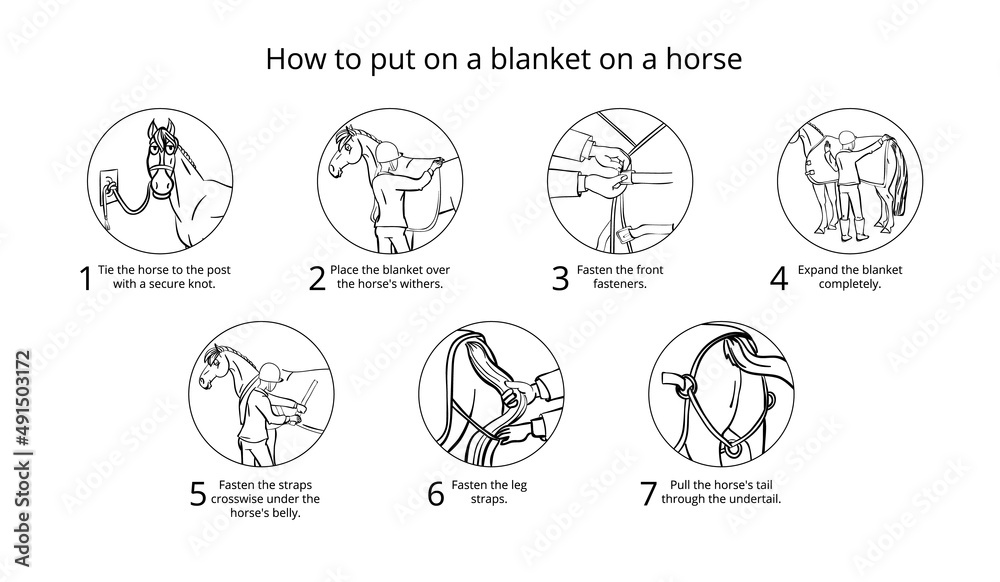 How to put on a blanket on a horse. Instruction in cartoon style. How to put on a blanket on a horse. Instruction in cartoon style.