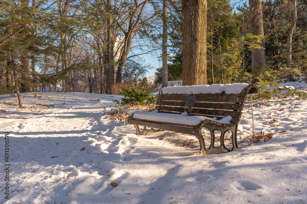 A bench covered with snow in a park