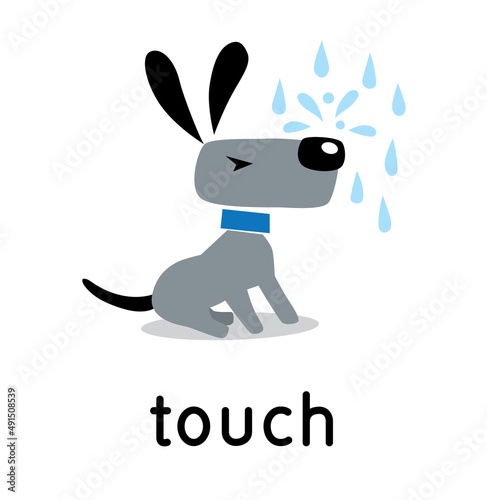 Dog and raindrops on his nose. Five senses. Touch