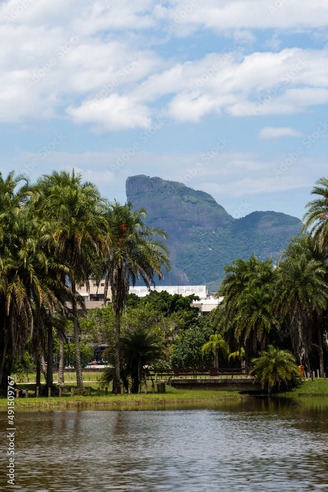 Fototapeta premium View of Bosque da Barra, located in Barra da Tijuca, Rio de Janeiro. Pedra da Gávea in the background. Forest with pond, nature, green and wild animals.