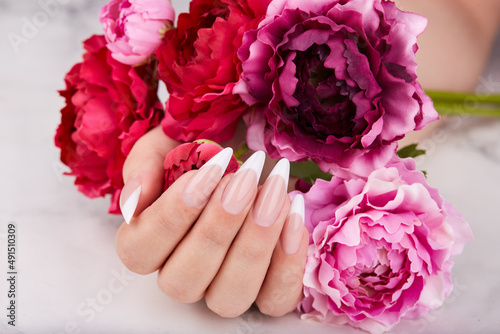 Hand with long artificial French manicured nails red Aster flower. Fashion and stylish manicure.