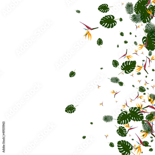 Orange Strelitzia Background White Vector. Leaves Fashion Backdrop. Light Green Flower. Botany Illustration. Pink Graphic Texture.