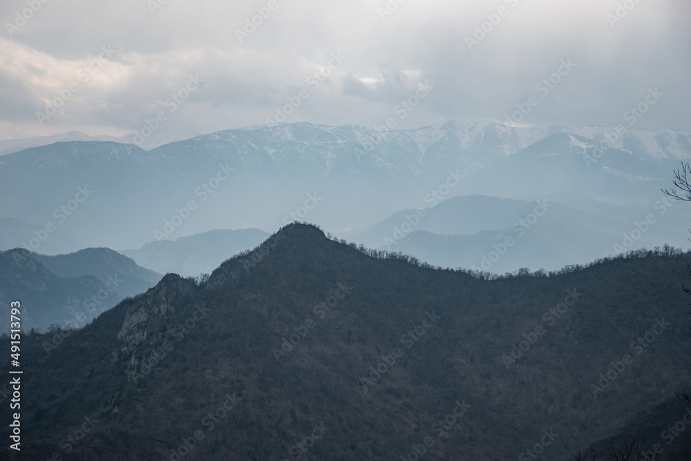 Naklejka premium forest and mountains in the fog