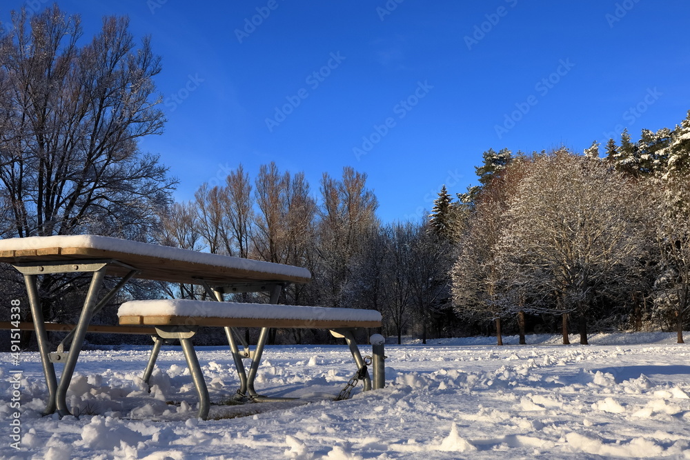 Winter landscape. Snowy bench. Plenty of snow on the ground and in the trees. Blue sky and nice weather. Stockholm, Sweden, Europe.