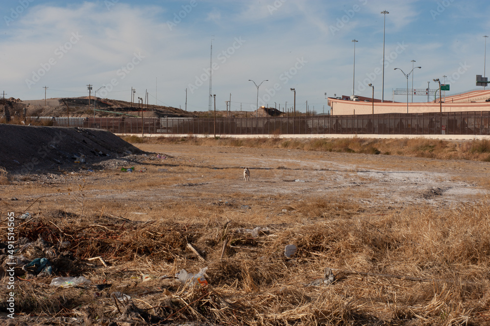 Stray dogs walk along the Rio Bravo natural border between Mexico and the United States in Ciudad Juarez Chihuahua Mexico.