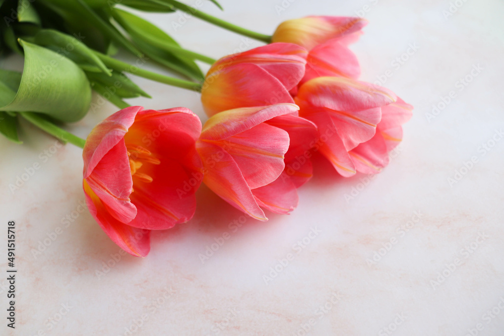 greeting card. bouquet of pink tulips on a white background