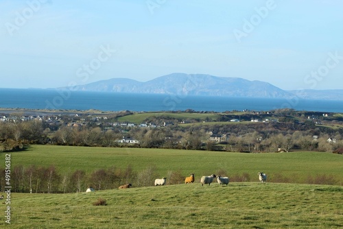 Landscape at north County Sligo, Ireland featuring sheep on hills of farmland pastures against backdrop of Donegal Bay with Slieve League mountain visible