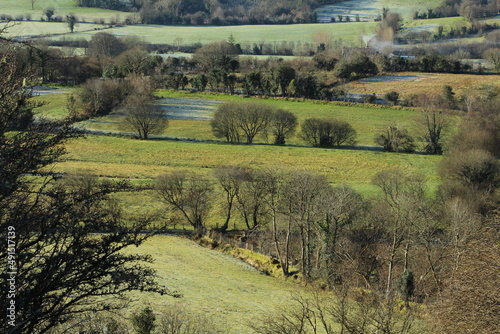 Winter morning at Glencar, County Leitrim, Ireland featuring tree-lined, frost-dusted fields of farmland pastures  photo