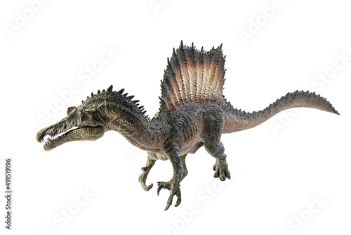 Spinosaurus , dinosaur on white background . © meen_na