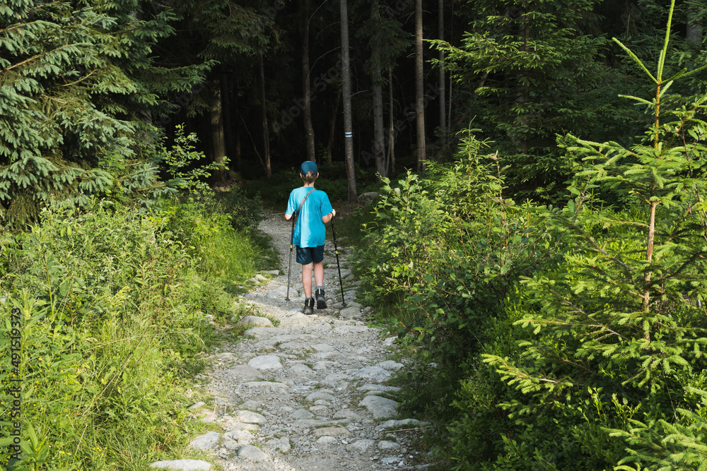 Obraz premium person walking in the forest