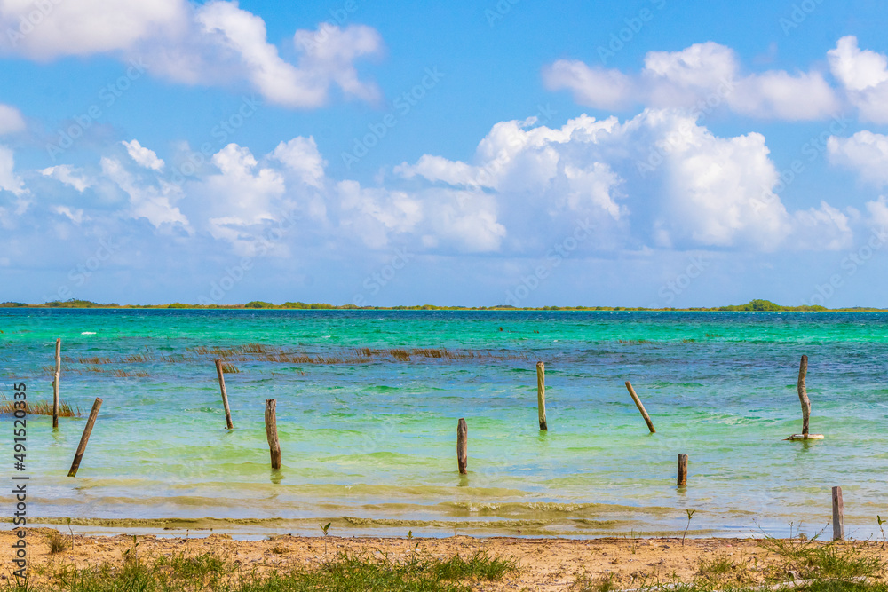 Muyil Lagoon panorama view landscape nature turquoise water Mexico. Muyil Lagoon panorama view landscape nature turquoise water Mexico.