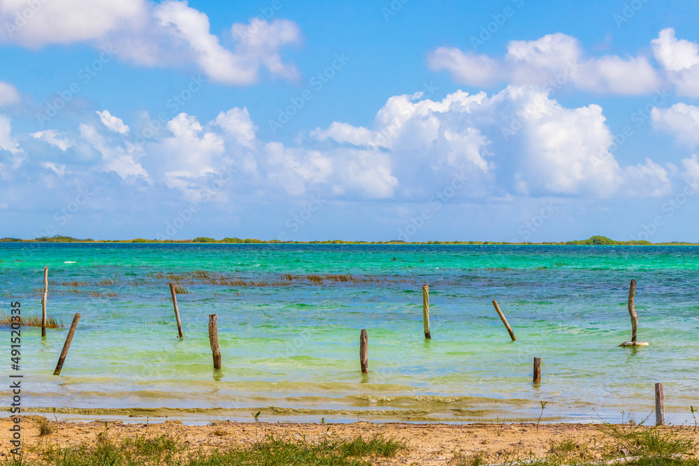 Muyil Lagoon panorama view landscape nature turquoise water Mexico.