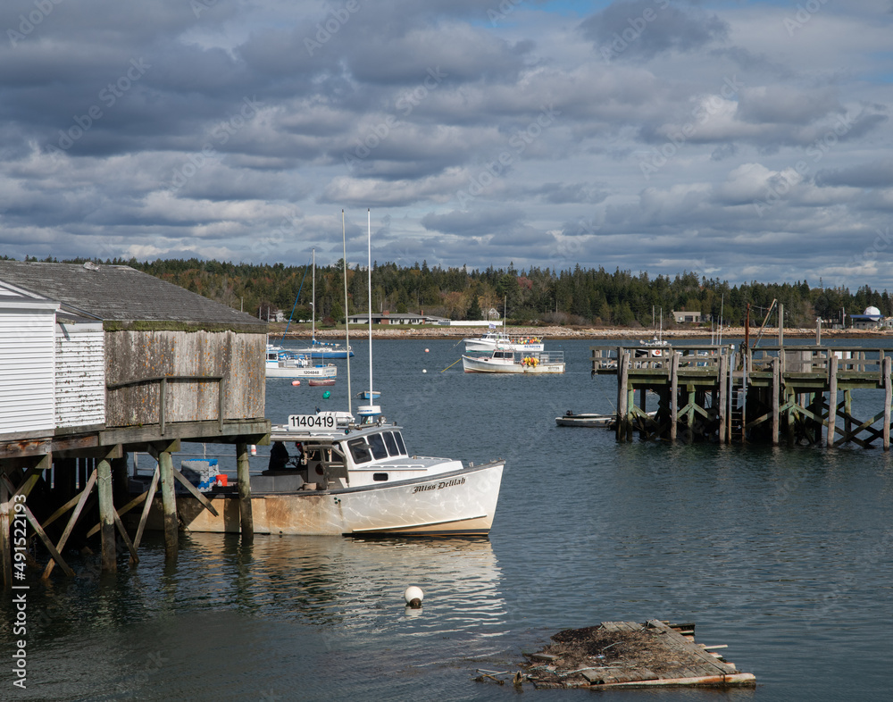 Fototapeta premium Main Harbor in the fall