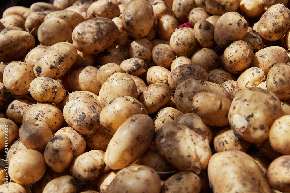 Heap of fresh potatoes on the traditional arab Egyptian market Heap of fresh potatoes on the traditional arab Egyptian market