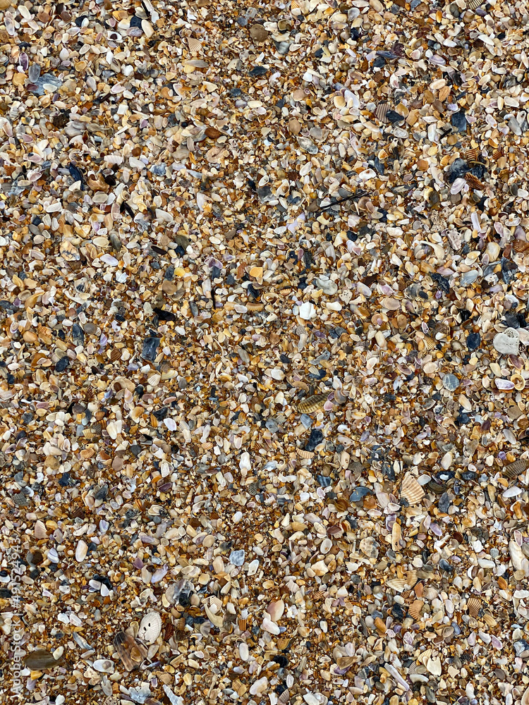 pebbles on the beach