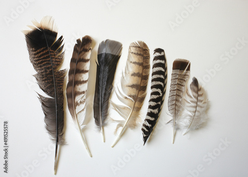 Feathers