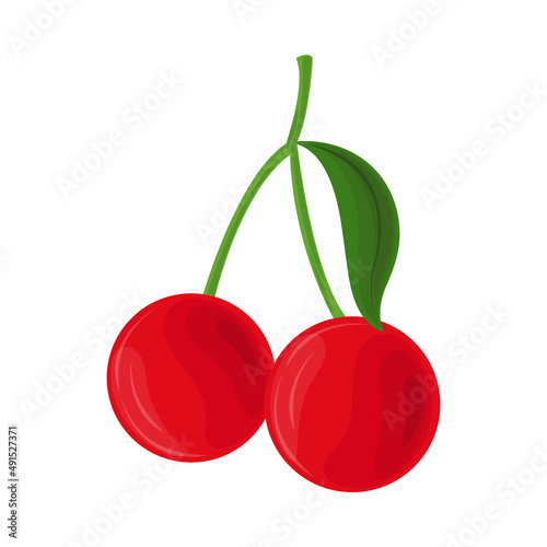 cherry fruit icon
