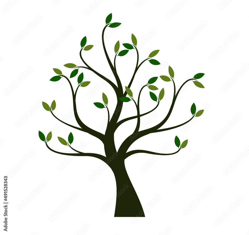 Colour Tree. Vector outline Illustration. Colour Tree. Vector outline Illustration.