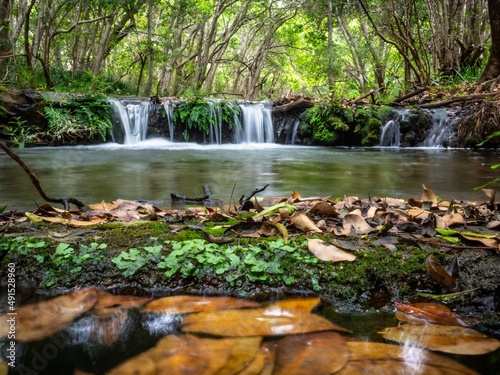 Ruisseau rivière parc naturel qui s'écoule paisiblement photo