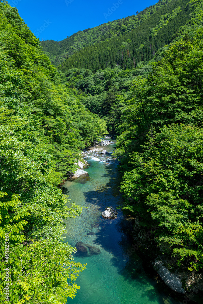 新緑の清流馬瀬川 高山市清見町