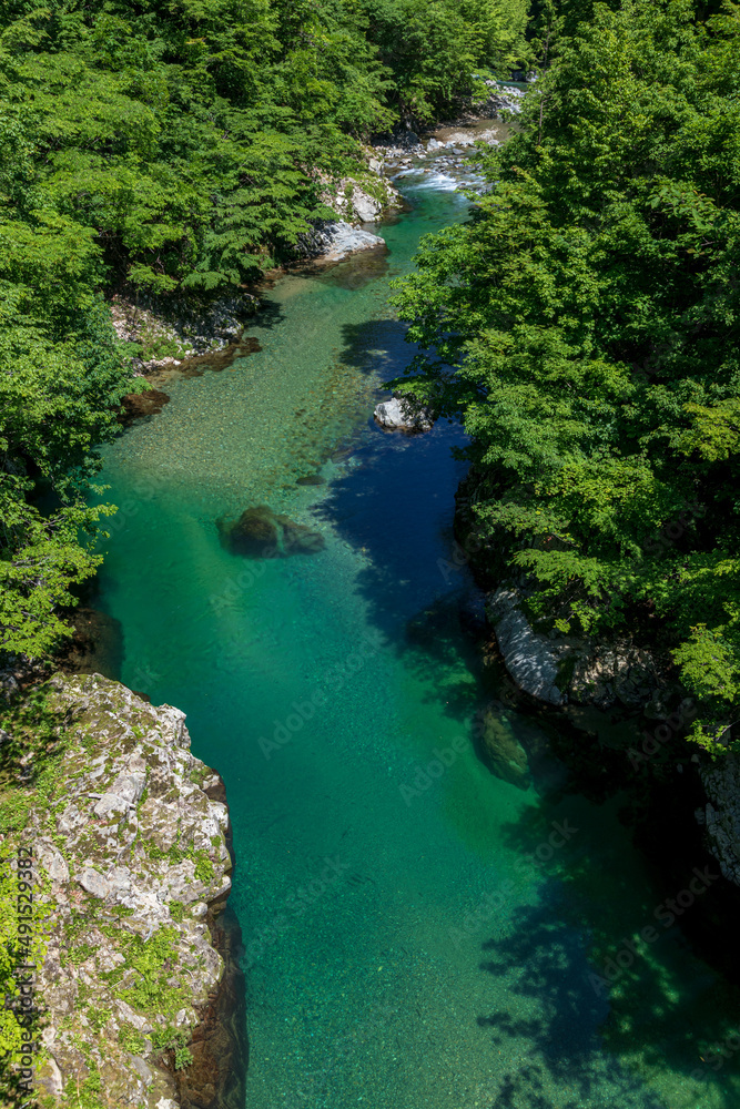 新緑の清流馬瀬川 高山市清見町 新緑の清流馬瀬川 高山市清見町