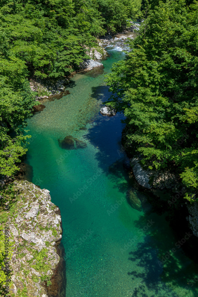 新緑の清流馬瀬川 高山市清見町