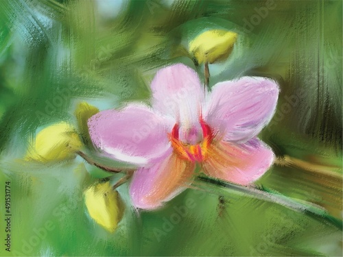 Orchid flower digital painting  very beautiful flower. 