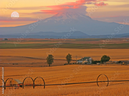 Mt Adams in Wa State - An image near Goldendale, Wa of the harvested wheat field with Mt Adams and the moon in background
 photo