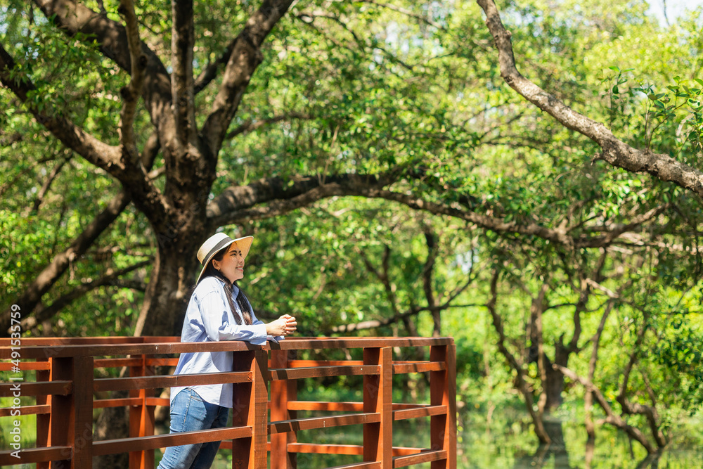 Young asian woman travel in the middle of nature with sunlight. Traveller blogger in mangrove forest. Rest on vacation holiday weekend. Beautiful female with hat and blue shirt walking in forest Young asian woman travel in the middle of nature with sunlight. Traveller blogger in mangrove forest. Rest on vacation holiday weekend. Beautiful female with hat and blue shirt walking in forest