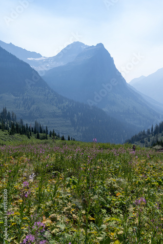 Mountain scenery with hazy skies and wildflowers in Glacier National Park along Going to the Sun Road