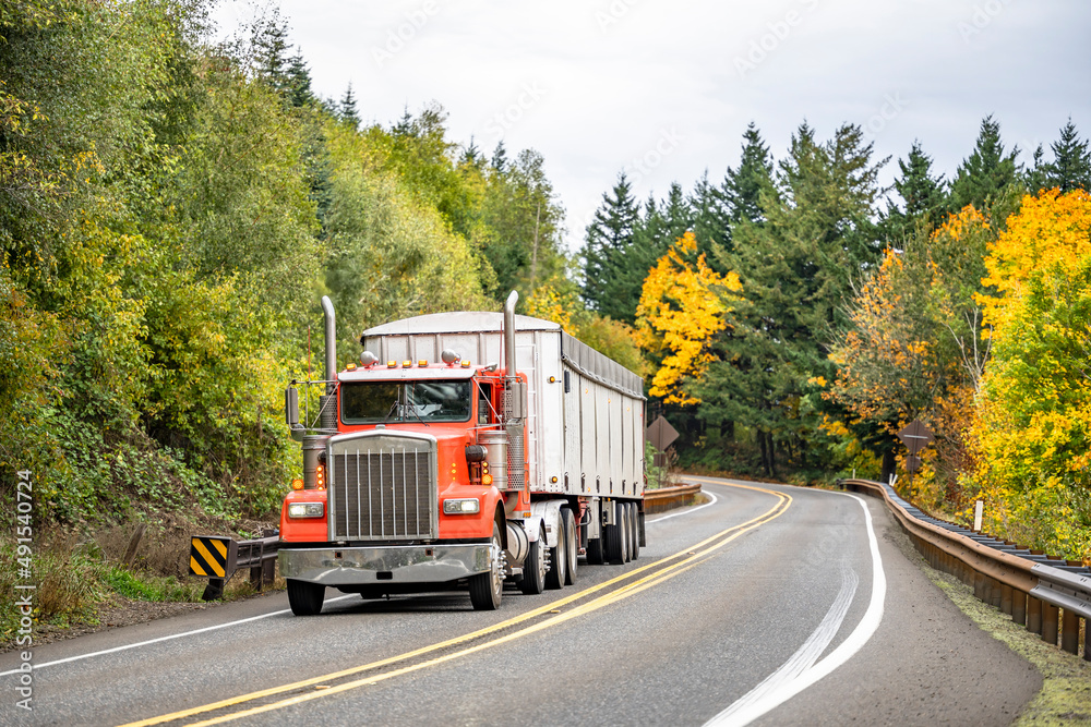 Day cab orange classic American big rig semi truck transporting cargo in low profile covered bulk semi trailer running on the winding road through the autumn forest
