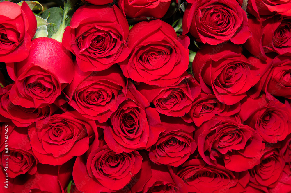 big bouquet of red roses bloom beautiful romantic big bouquet of red roses bloom beautiful romantic