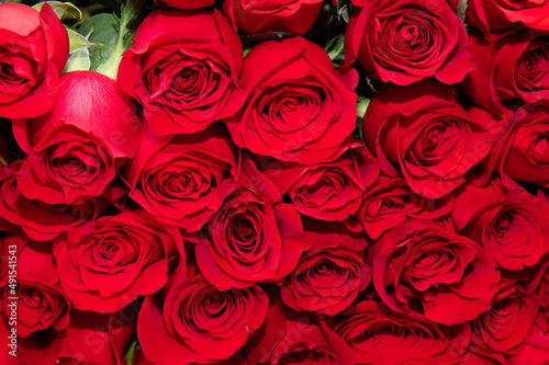 big bouquet of red roses bloom beautiful romantic