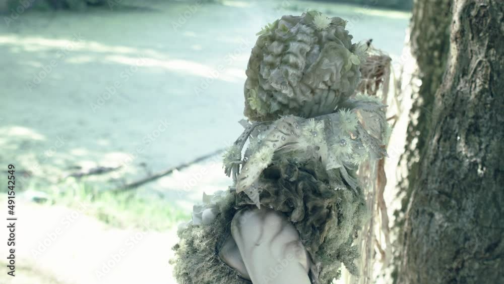 fabulous forest fairy