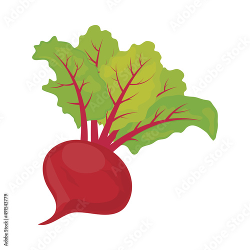 radish vegetable icon