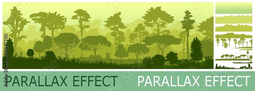 Dense jungle forest in morning mist. Silhouettes of tall trees. Horizontally composition illustration. Solid layers for image folding with parallax effect. Vector