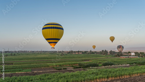 Bright balloons fly low over sugar cane plantations. Cultivated fields stretch to the horizon. Clear blue sky. Egypt. Luxor