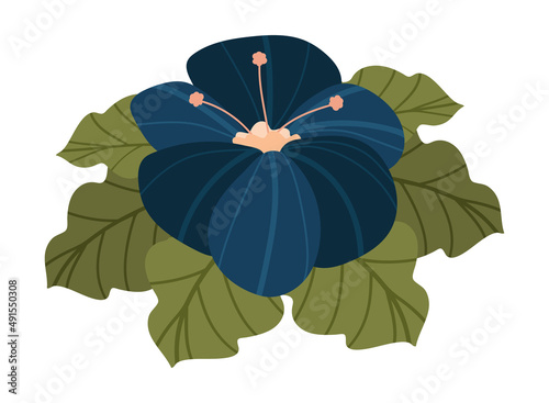 flower flat icon