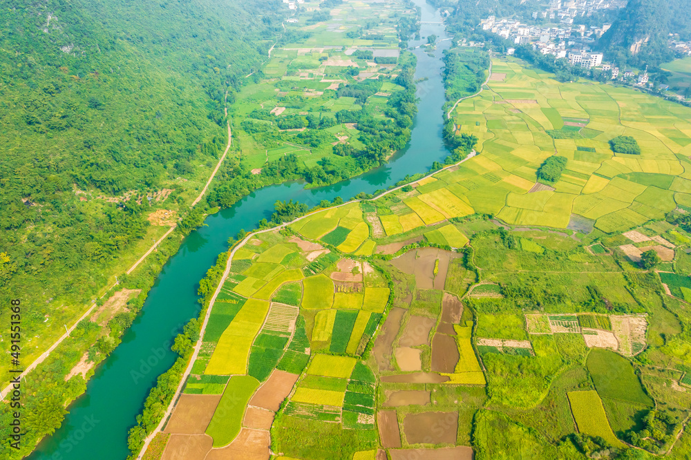 Aerial view of green rice field and river nature scenery in countryside. high angle view.