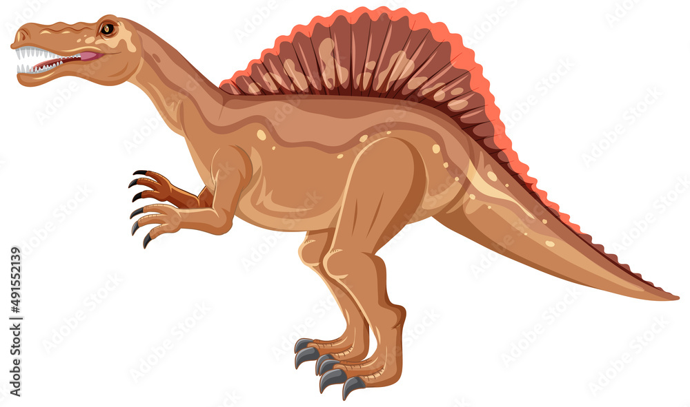 Spinosaurus dinosaur on white background Spinosaurus dinosaur on white background